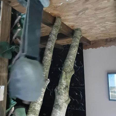 La Grange De Paul Au Domaine Du Reuze Leilighet Winnezeele Eksteriør bilde
